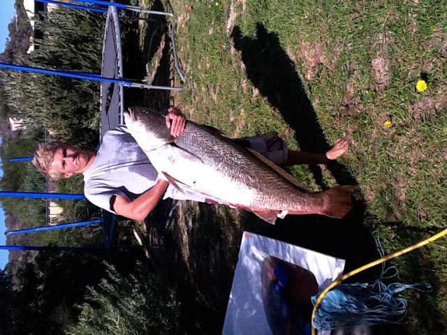 My mulloway 35kg