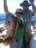 Pink Snapper