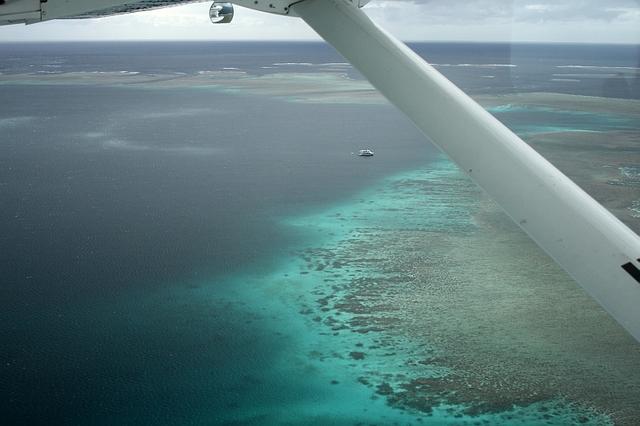 Bugatti Reef