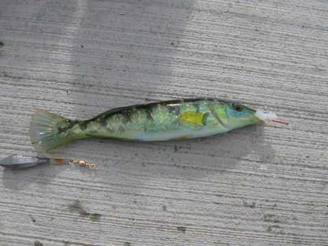 Weed whiting