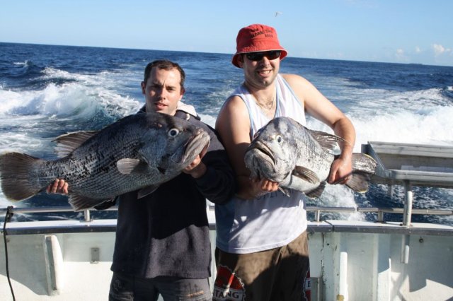 Abrolhos Islands May 2011 - Dhues