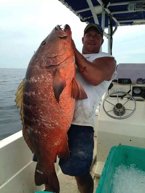 hows this for a snapper