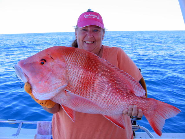 Sandys  Big Red 