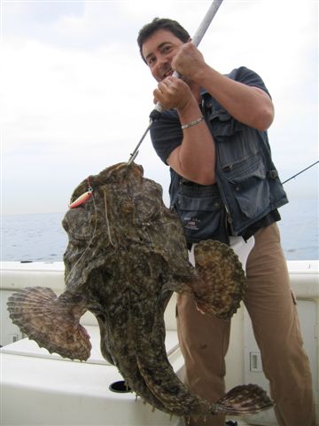 Monk Fish