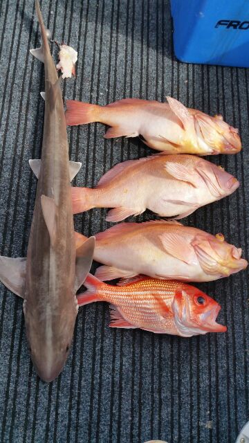 Good day on the water Good day on the water
