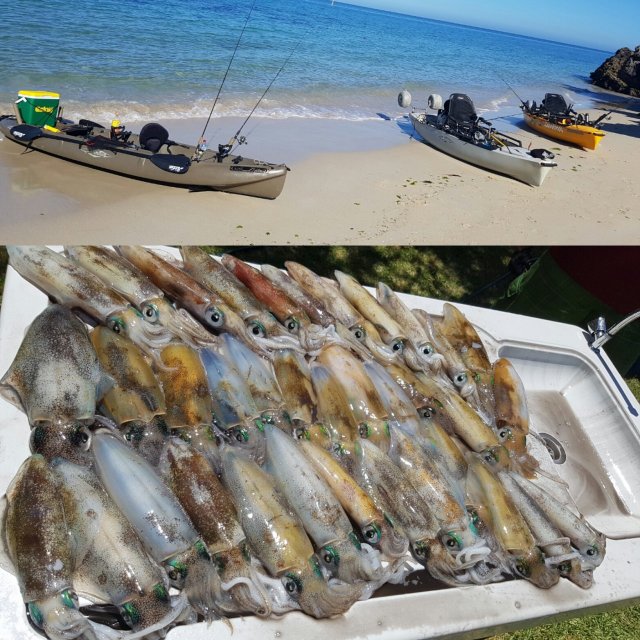 Hobie Kayak Squid sesh