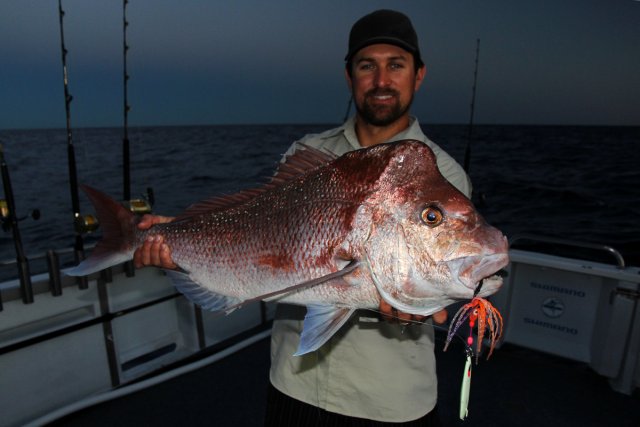 Dawn snapper on jig