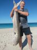 Landbased amberjack perth