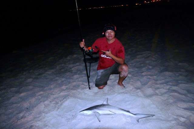 FREMANTLE beach ---shark