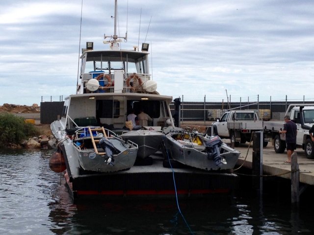 Tinny Mission to the Abrolhos