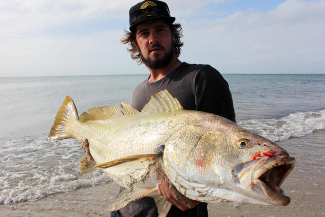 2nd Land Based Mulloway