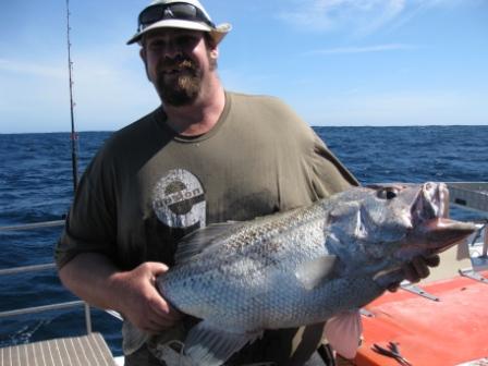 Dhufish Abrolhos Island 2011