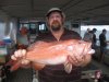 Coral Trout Abrolhos Islands 2011