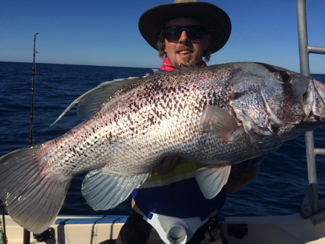 Solid fish! Great fun on light gear 