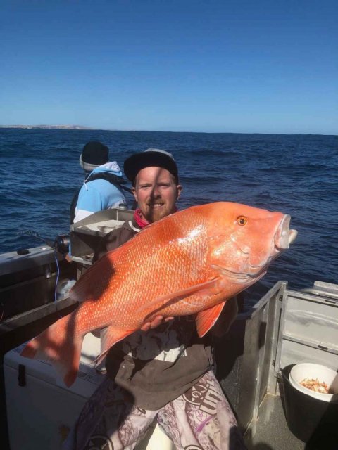 Pb. Red Emp  11.81kg 