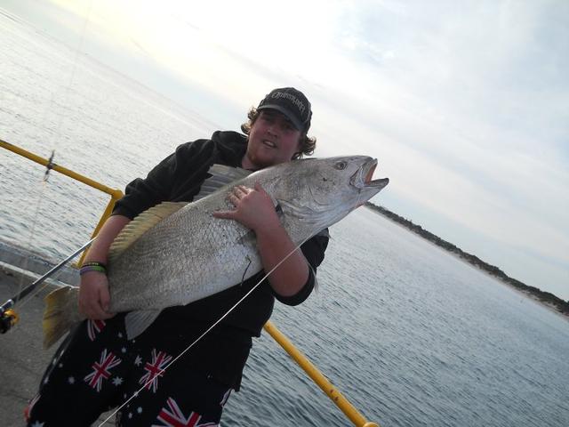 Mulloway Mulloway