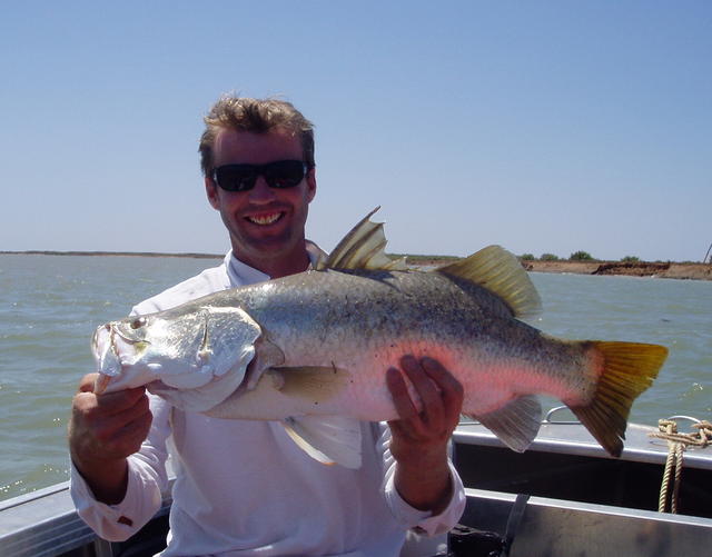 elusive barramundi