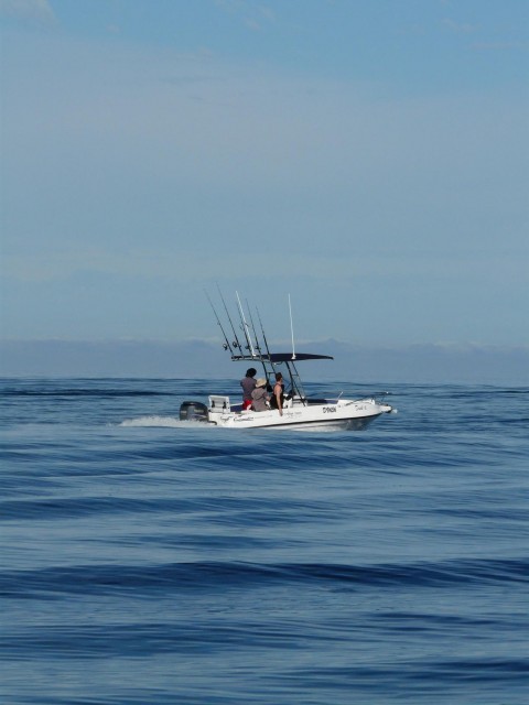 Attitude 7000 at the Abrolhos