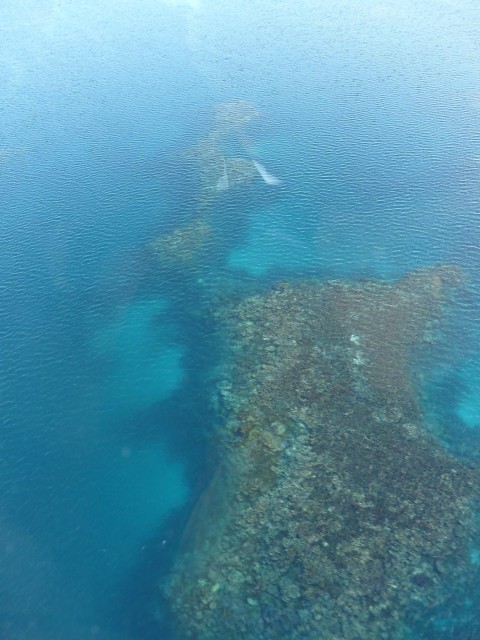 Commodore Marine Abrolhos Trip #4