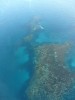 Commodore Marine Abrolhos Trip #4