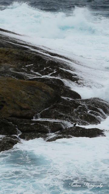 Rock v Southern Ocean 2