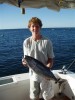 5kg blue fin tuna trolling off shore at rotto