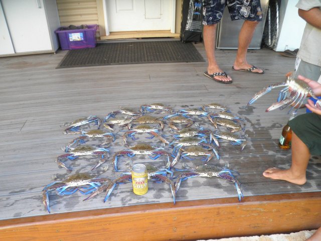 nice relaxing day on the water with a mate and number 2 son. Followed by a big feed of chilli crabs