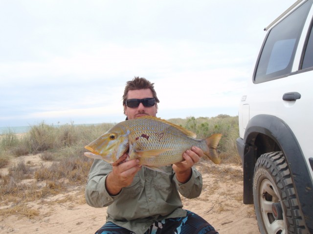 55cm spang from the beach on the weekend