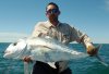 Big trevally