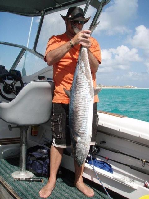 Spanish Mackeral off Coral Bay