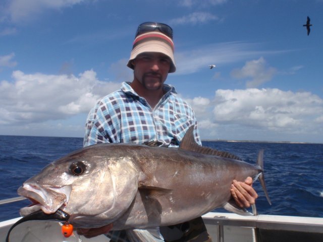 shallow water sambo on placcies. (moustache)