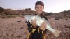 Falcon soapy mulloway