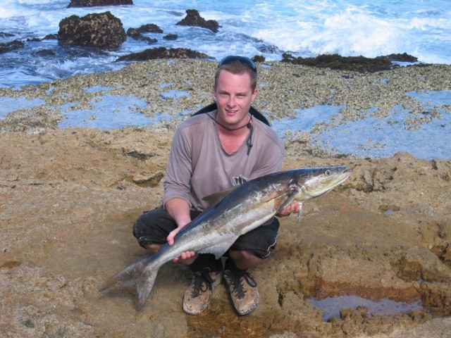 Peter's Cobia