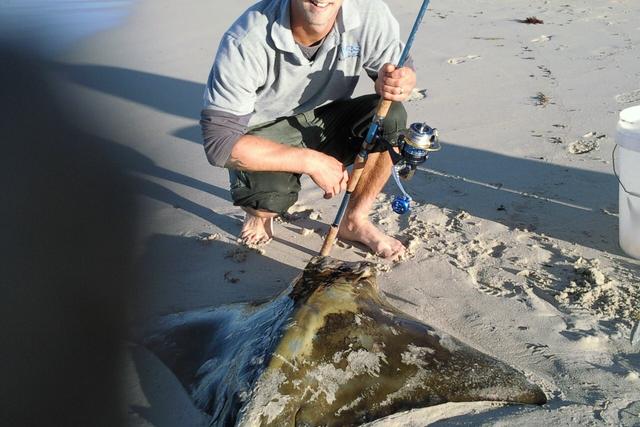 codys EAGLE RAY