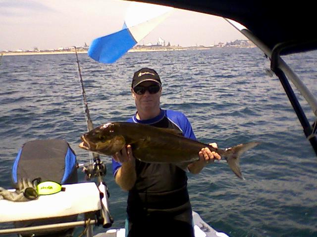 Amber Jack on straight hook Amber Jack on straight hook
