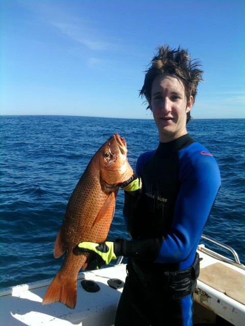 nice mangrove jack nice mangrove jack