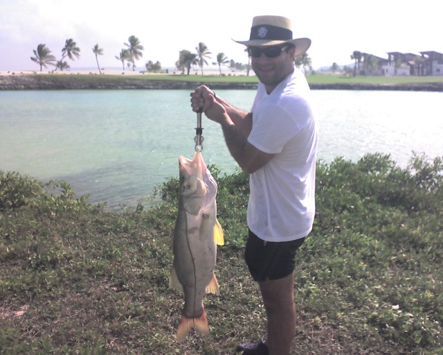 Weighing of 25 Pound Snook