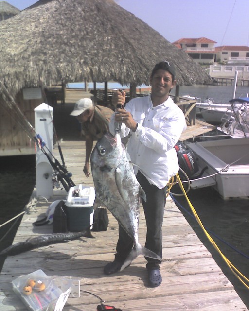 African Pompano