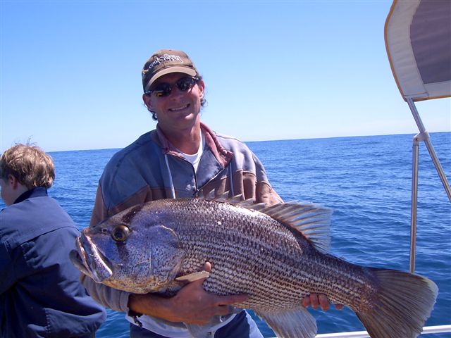 Another Mandurah Dhufish!!