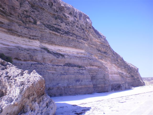 cocklebiddy cliffs 2010