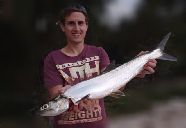 Swan river giant herring