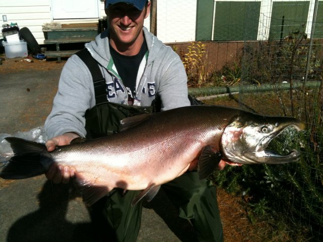 24 lb Coho second pic