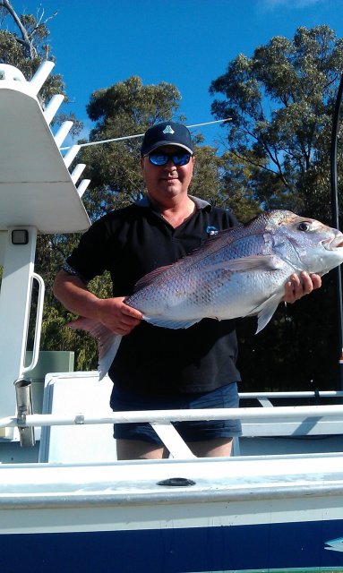 Nice Snapper