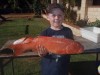 Young Blokes First Trout