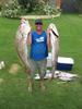 Colt_Striker's Mulloway