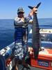 Wahoo while Billfishing