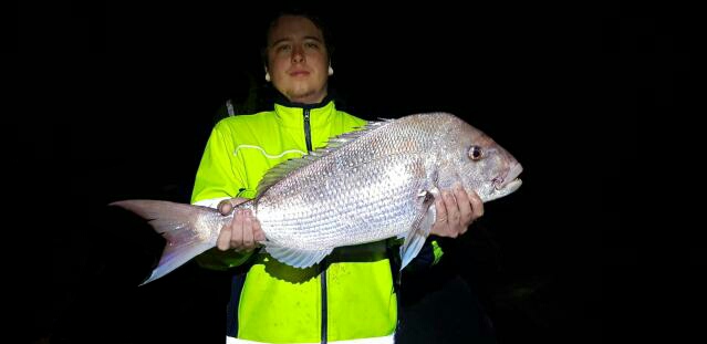 Perth Metro Pink Snapper