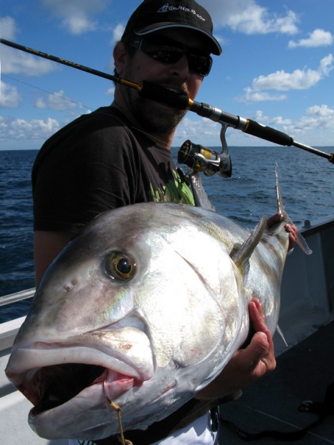 Samboza head