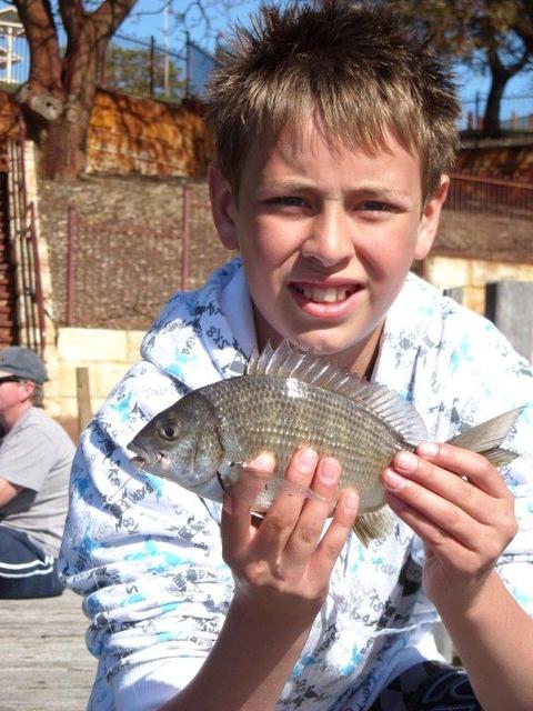 Maylands bream