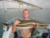 Mitch's Cobia